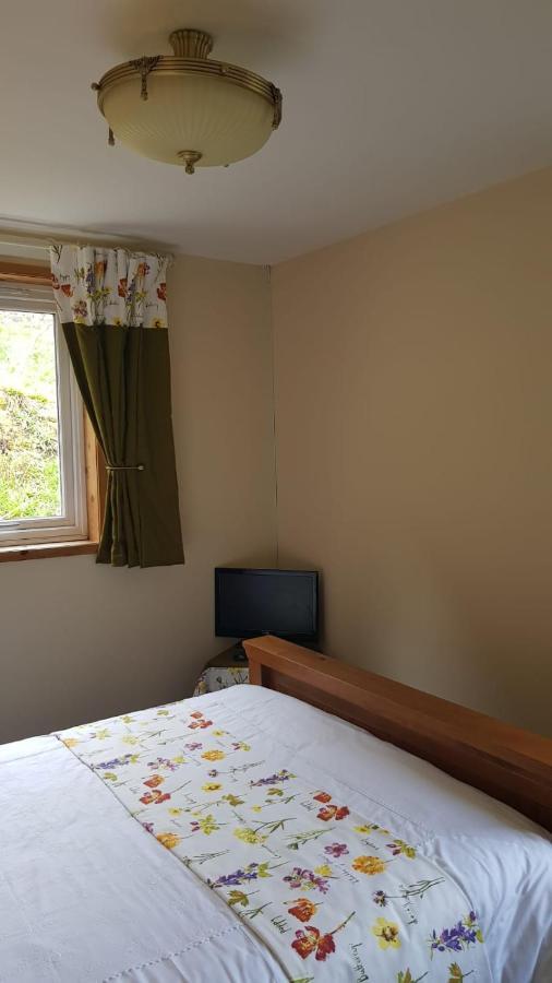 Double Room with Private Bathroom - Garden View