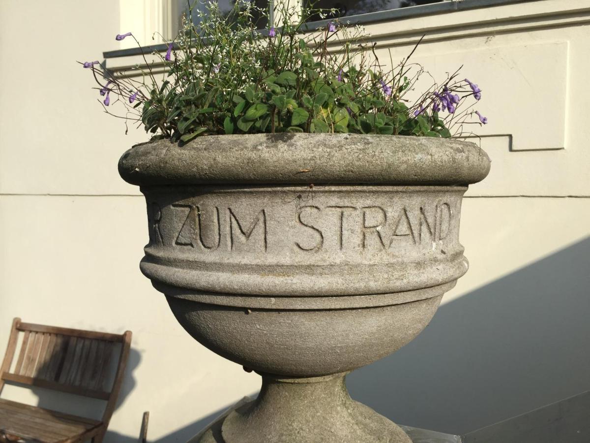 Apartment - Erdgeschoss