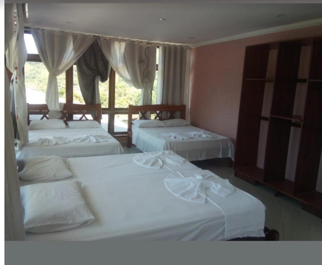 Suite Executive
