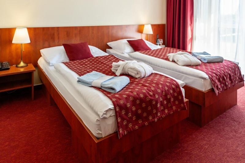 Double or Twin Room Aquapark access