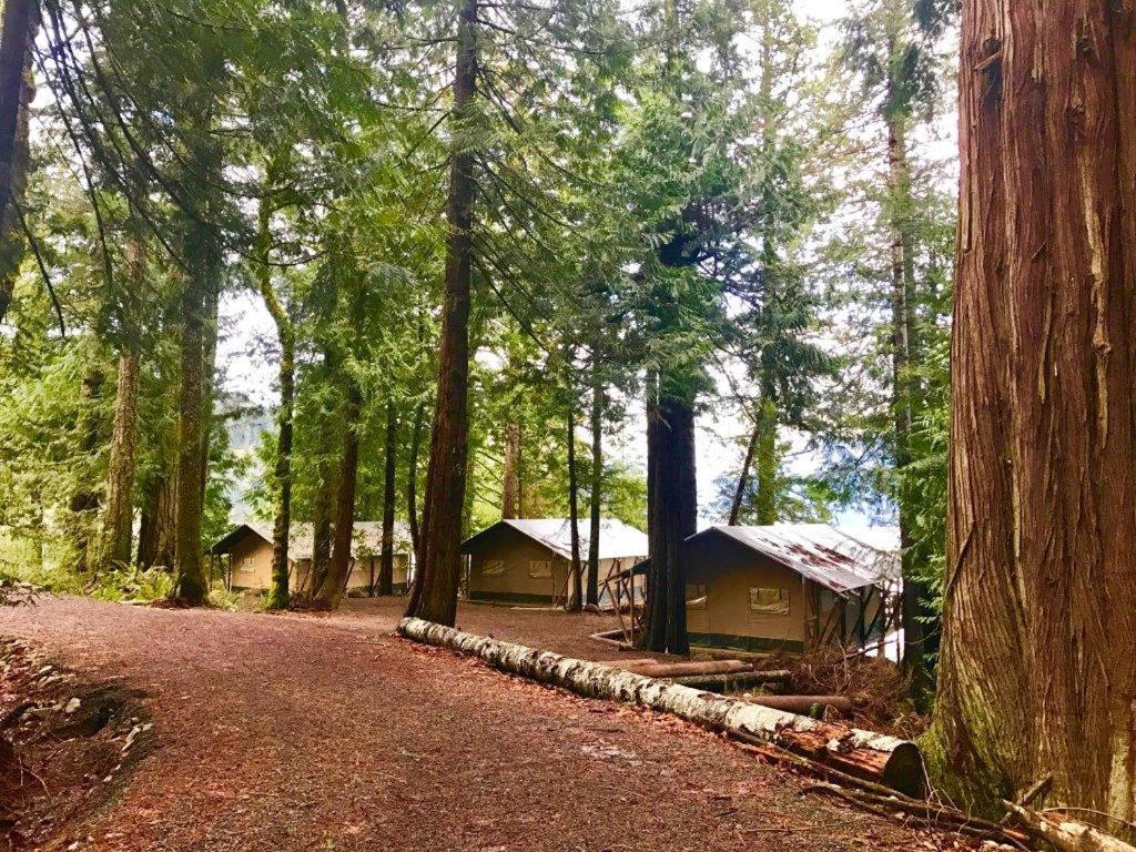 Cliffside Glamping Tent Bunkbeds