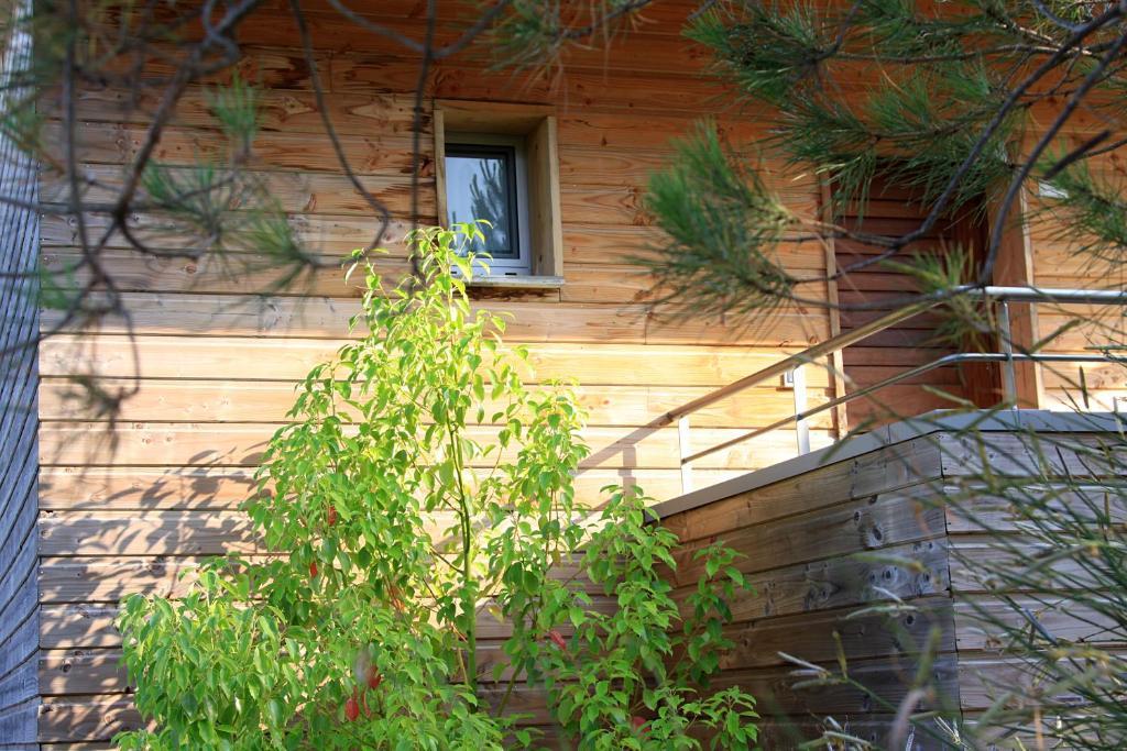 Apartamento de 2 dormitorios (5 adultos) nº1