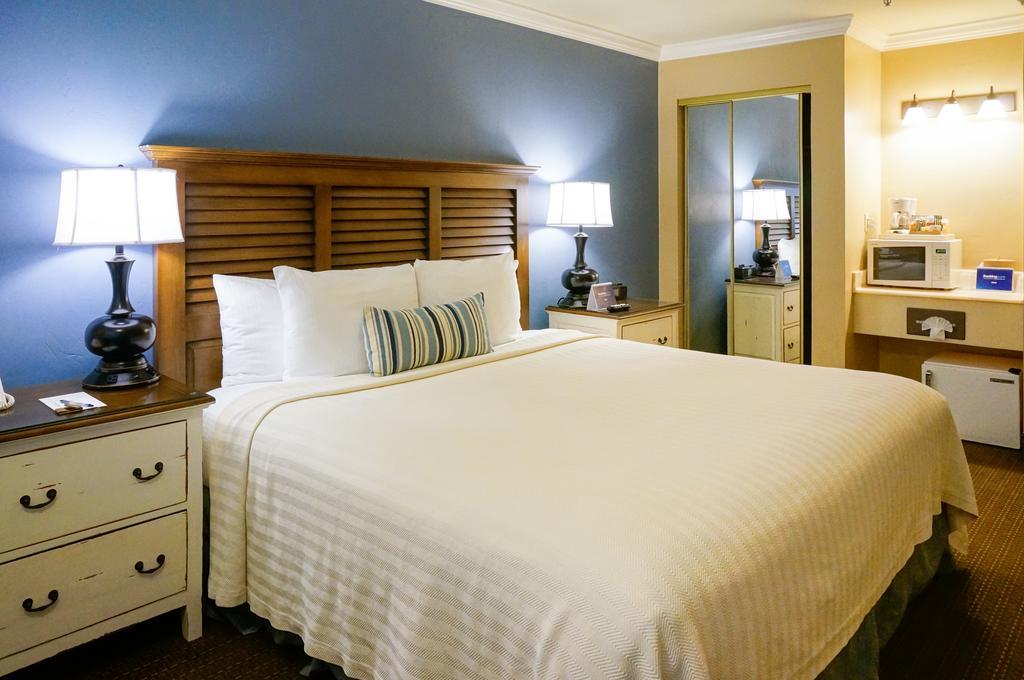Habitación Deluxe con cama extragrande