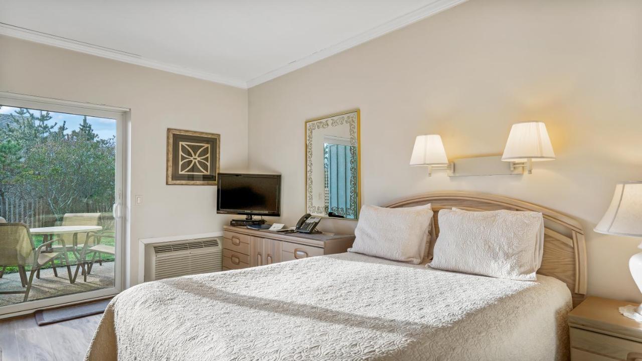 Estudio con cama extragrande
