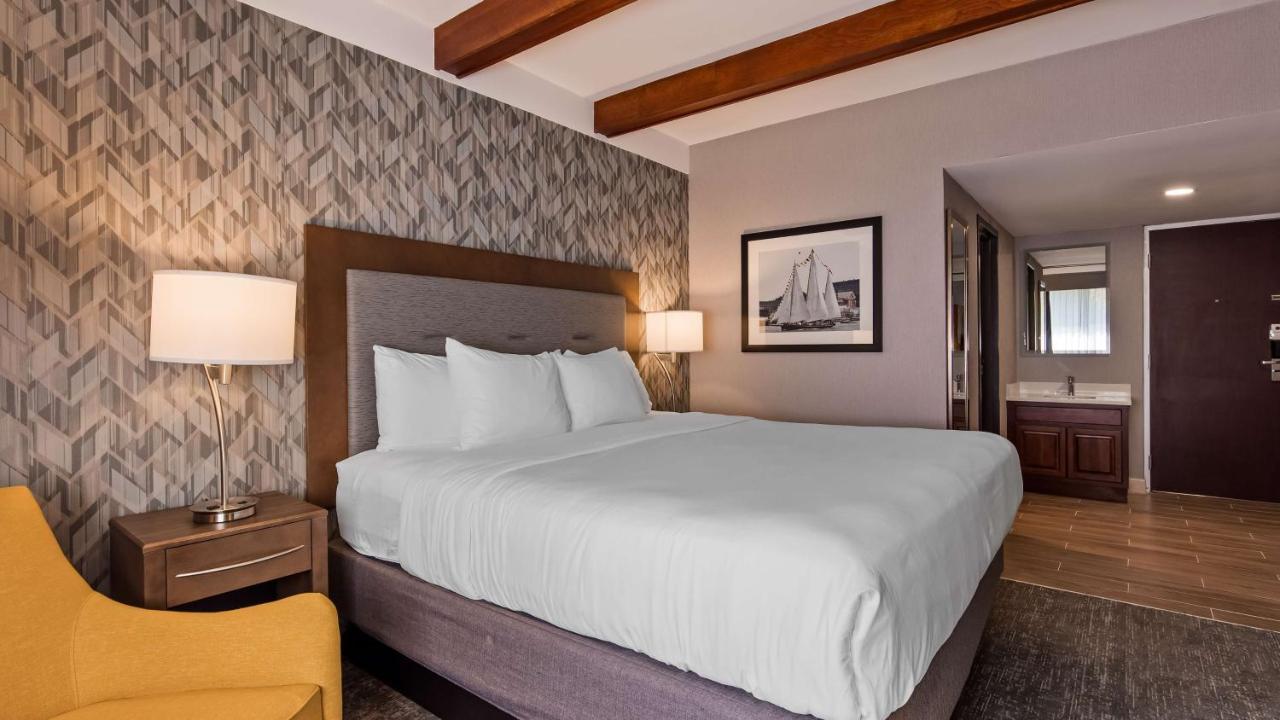 Superior King Room,1165224567:JPEG