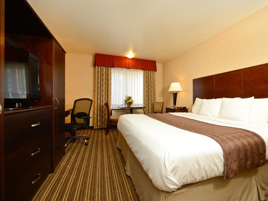 Single Room - Disability Access