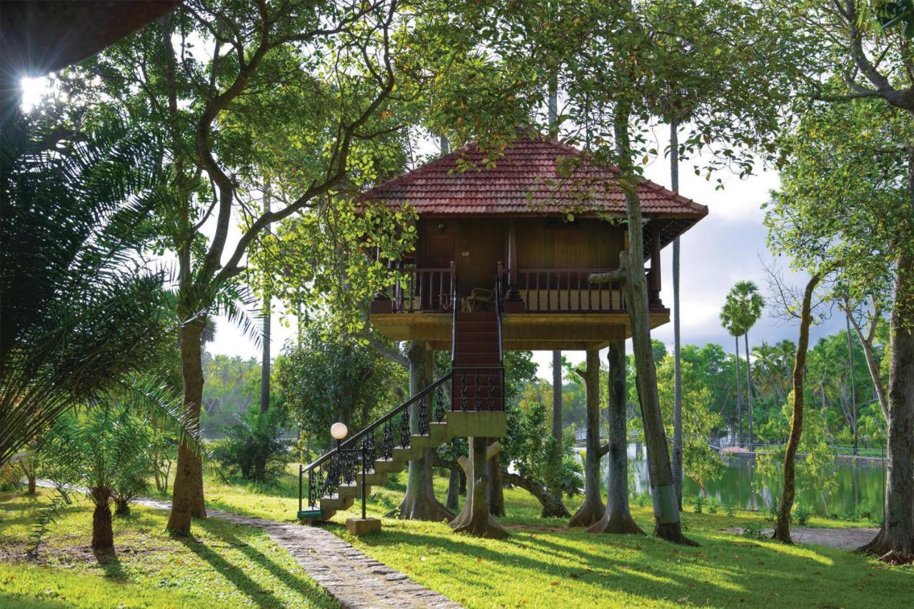Tree House with Complimentary INR 500 Hotel Credit redeemable on the Spa - Applicable only for guests utilising spa services totalling over Rs 5000