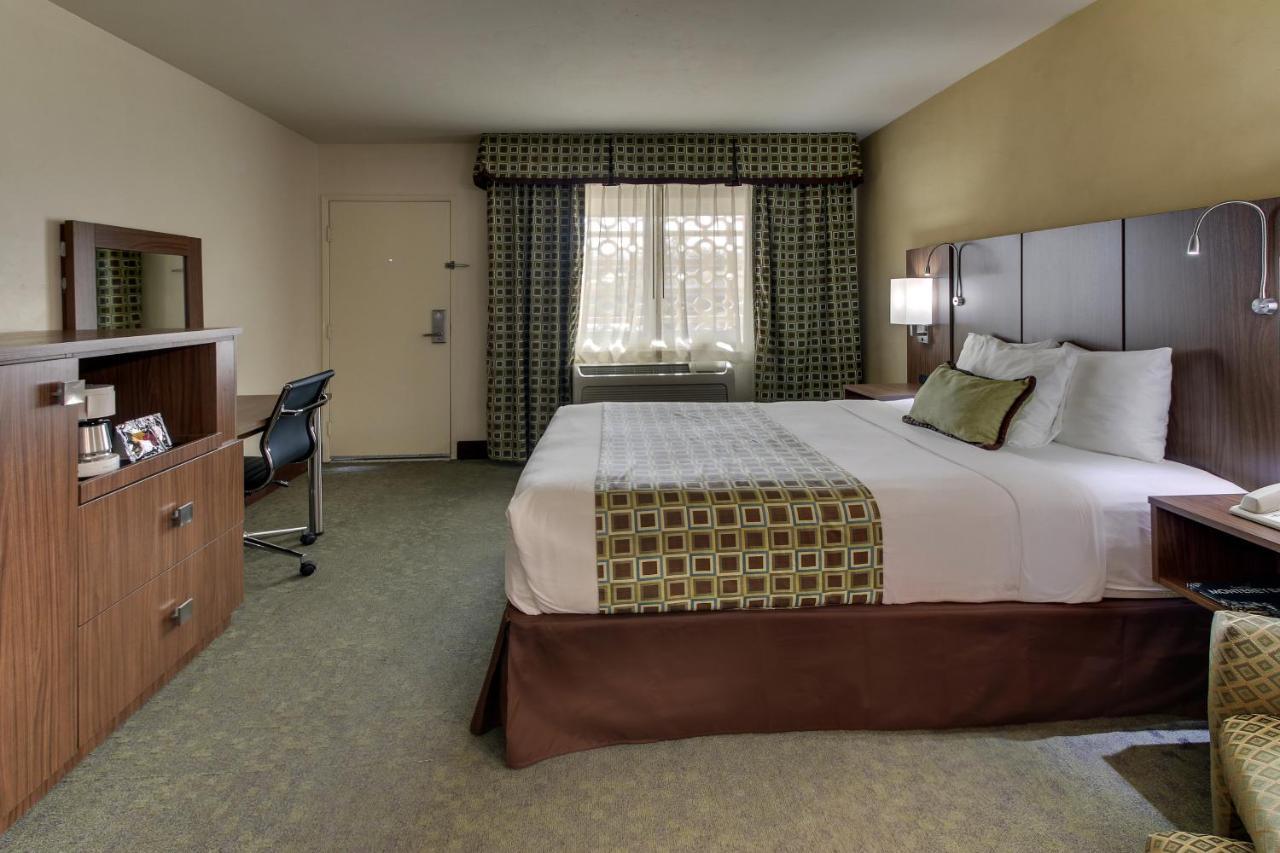 Junior Single Room, 1 Queen Bed, Non-Smoking, Refrigerator