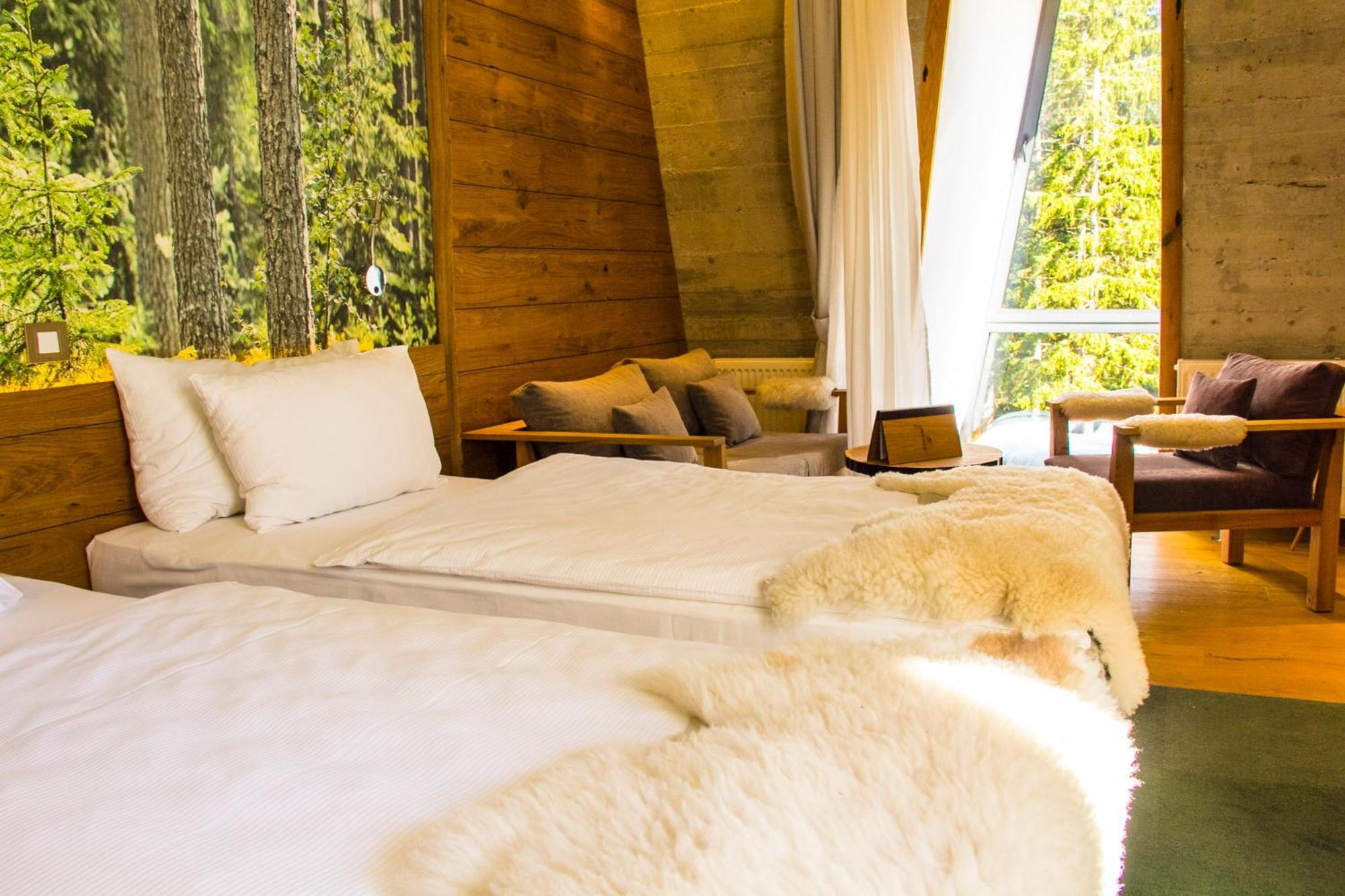 Superior Double or Twin Room