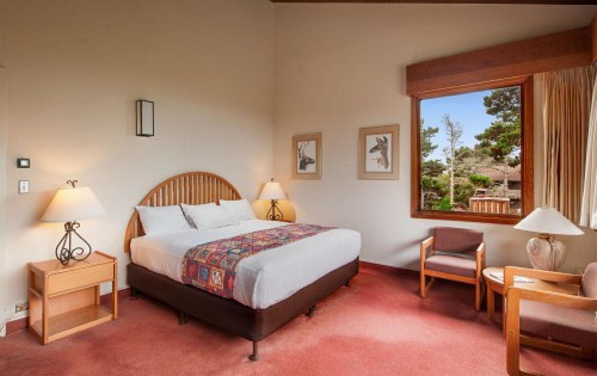 Habitación con cama extragrande y vistas al mar