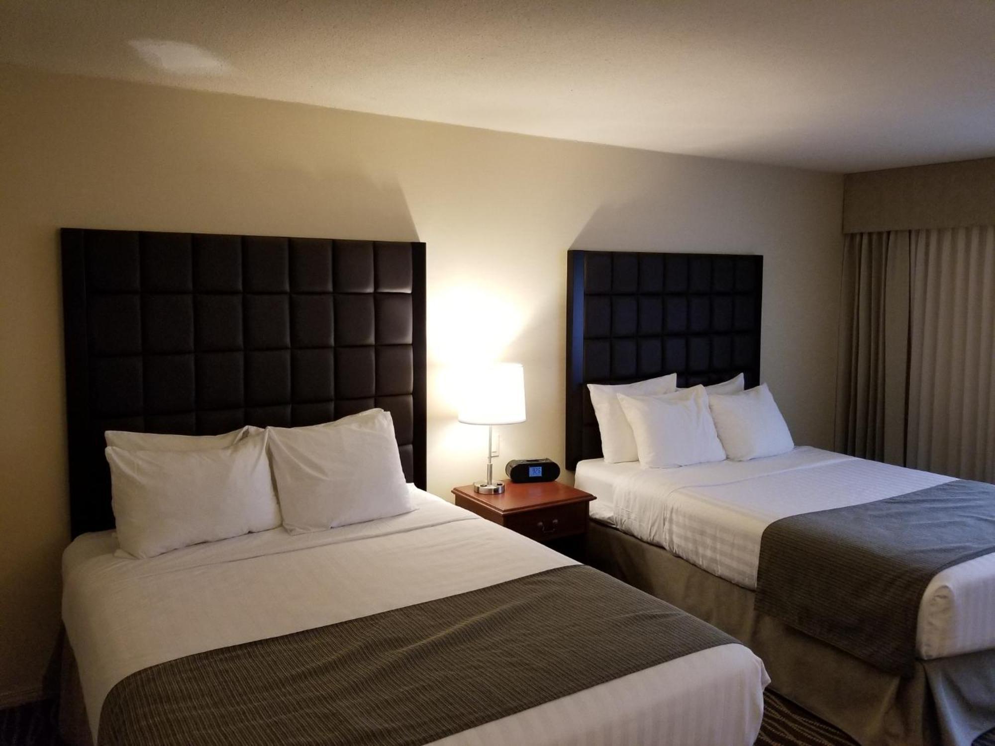 Family Suite,1588072517:JPEG
