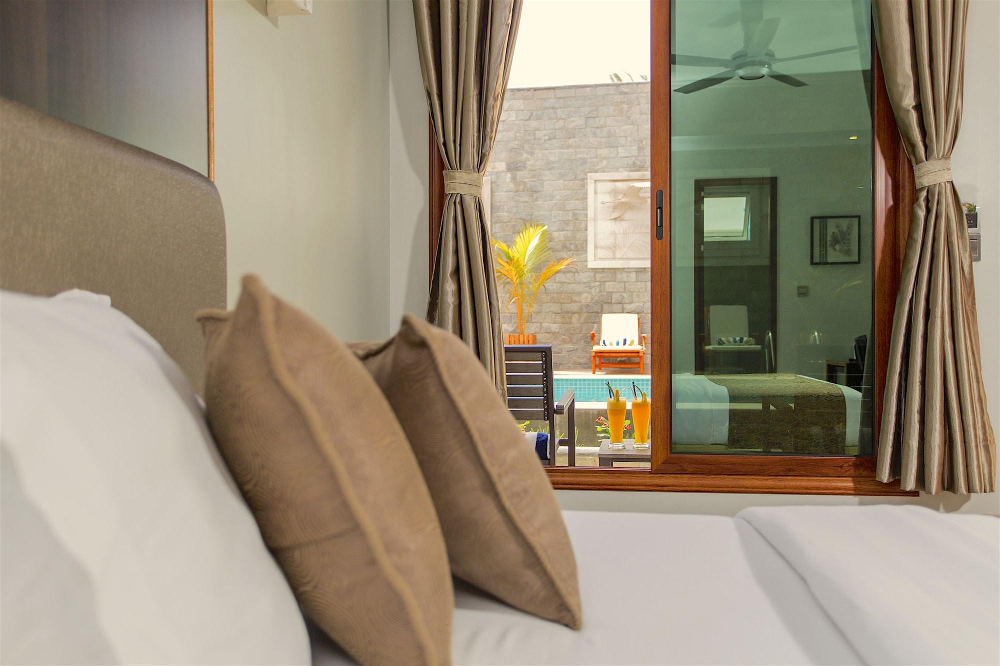 Deluxe Double Room Pool View Return Speed Boat Transfer Sand Bank Excursion & Dolphin Watching
