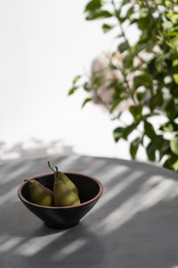 Habitación Clásica con jardín privado