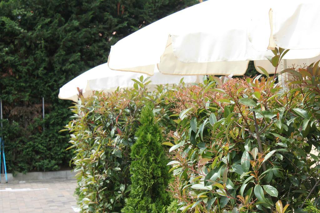 Classic Doppelzimmer mit Terrasse