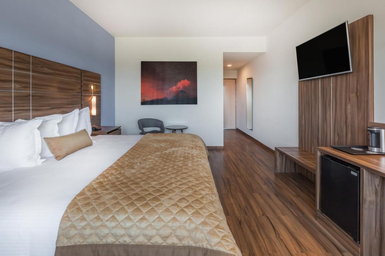 Habitación Deluxe - Cama extragrande