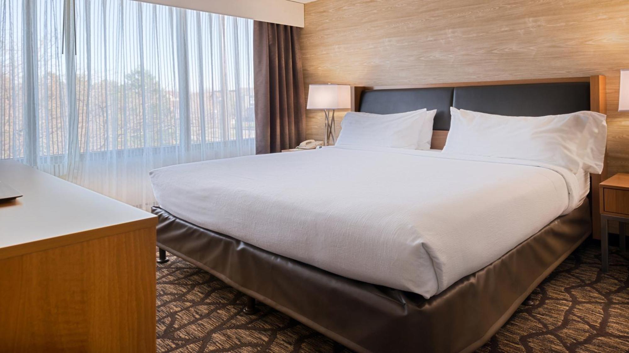 Suite con cama extragrande