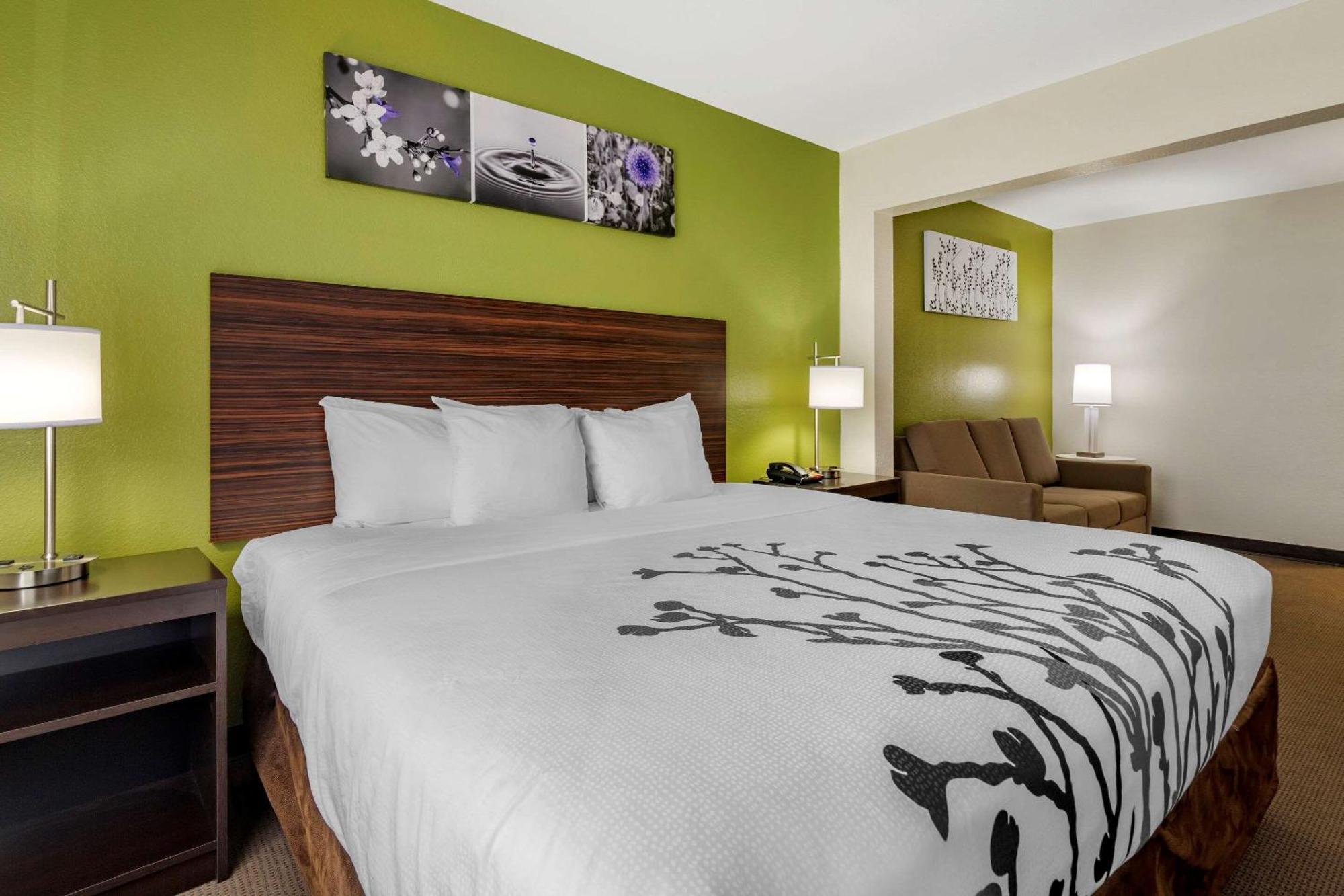 Suite con cama extragrande y sofá cama - No fumadores