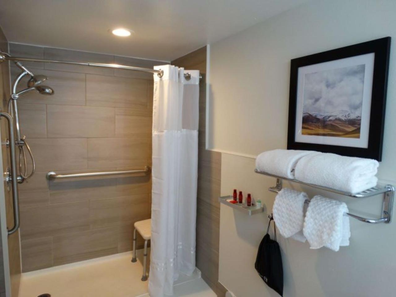 King Room Mobility Accessible Tub,1773691244:JPEG