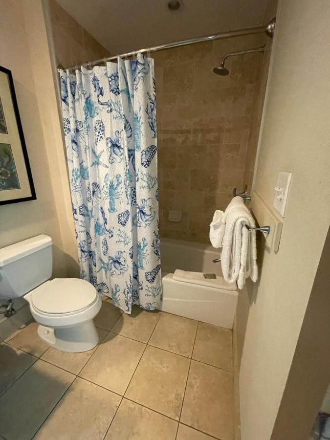 Studio Suite City View,1498768249:JPEG