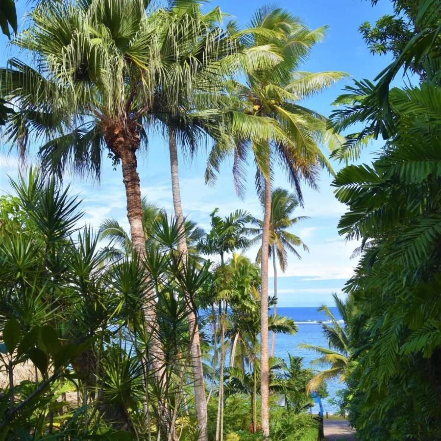 Studio Ocean View,1296977578:JPEG