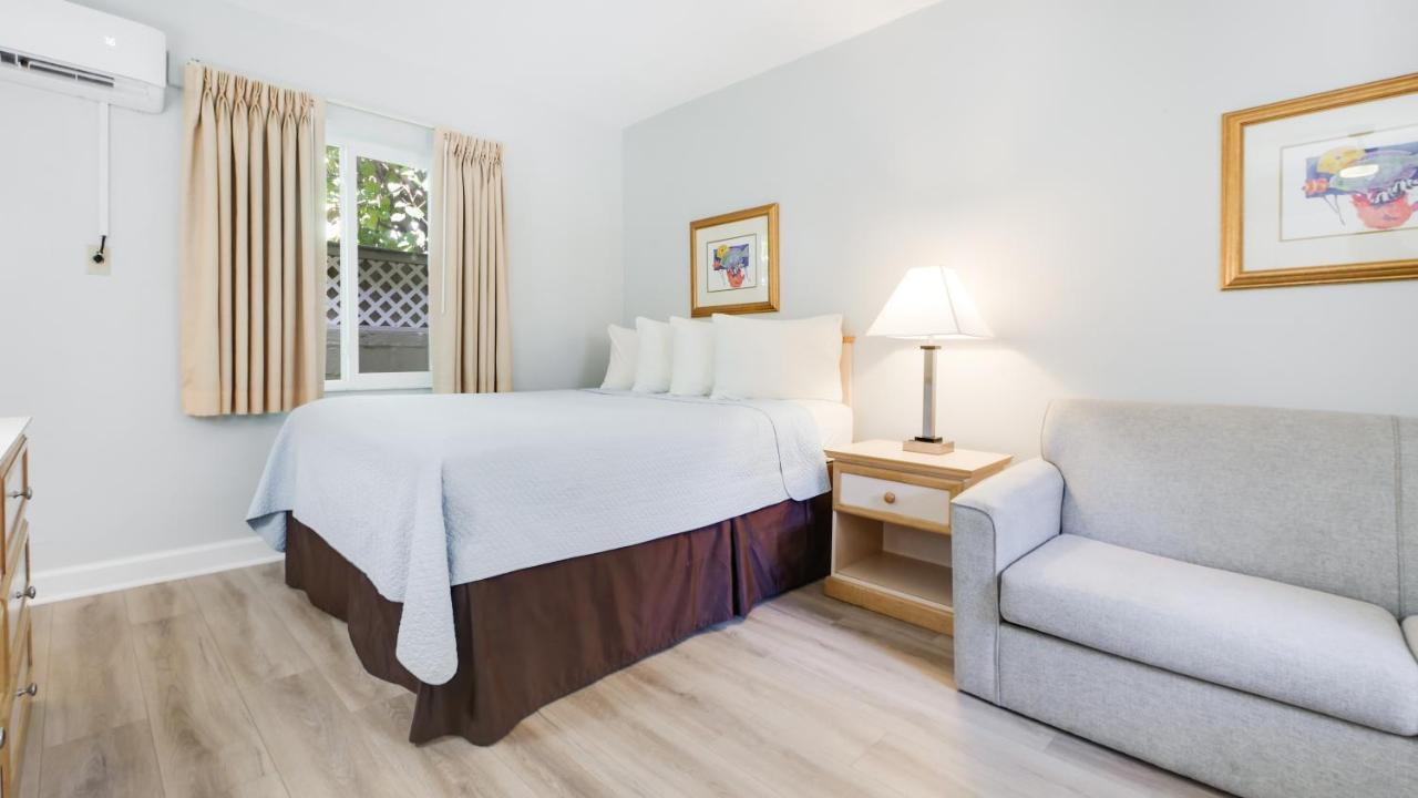 Queen Studio with Sofa Bed