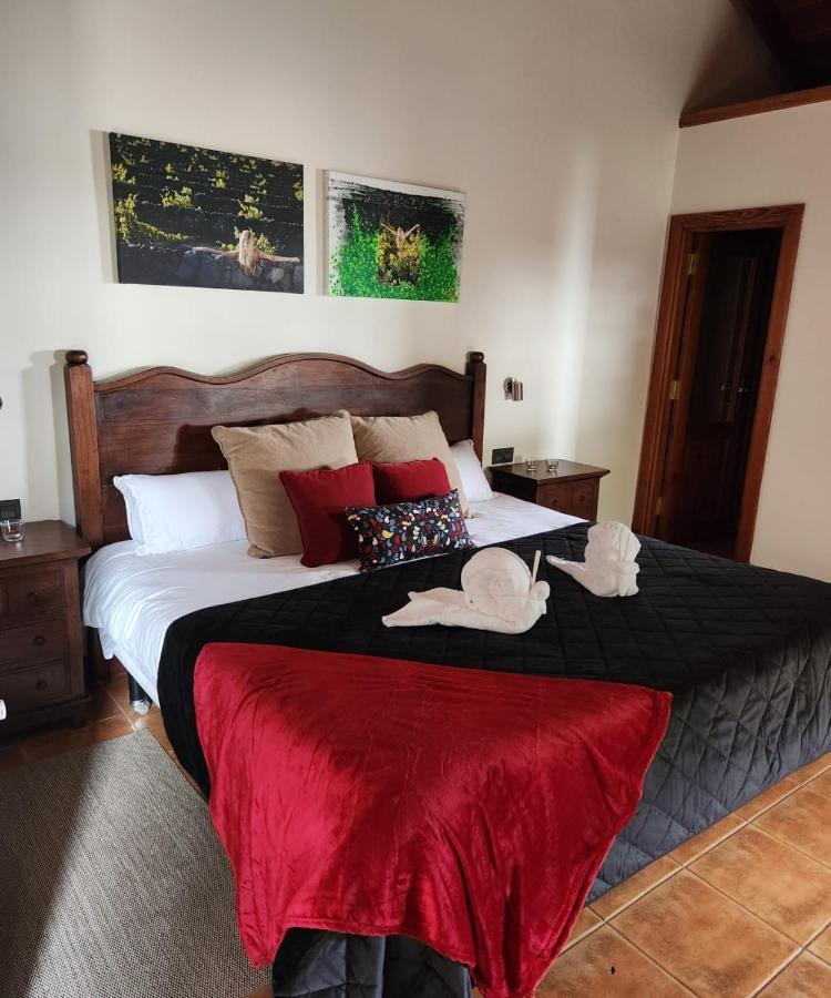 Standard Studio