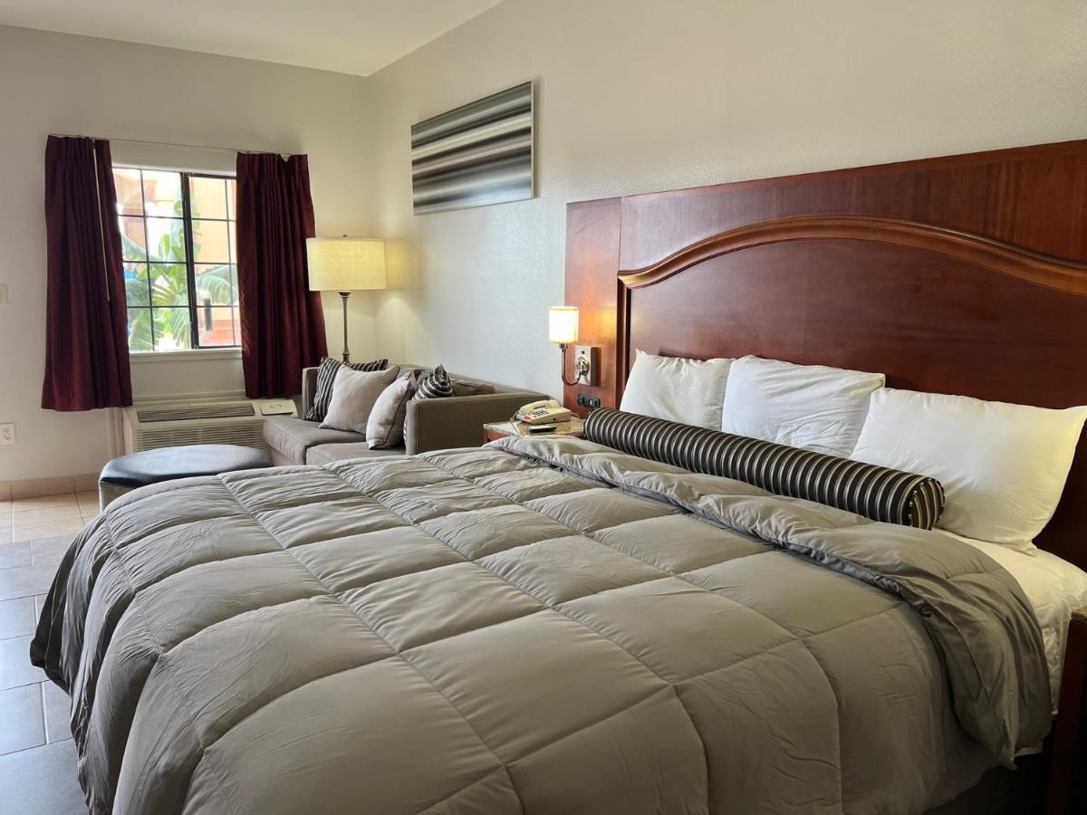 Estudio con cama extragrande y sofá cama