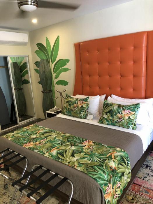 King Room with Garden View
