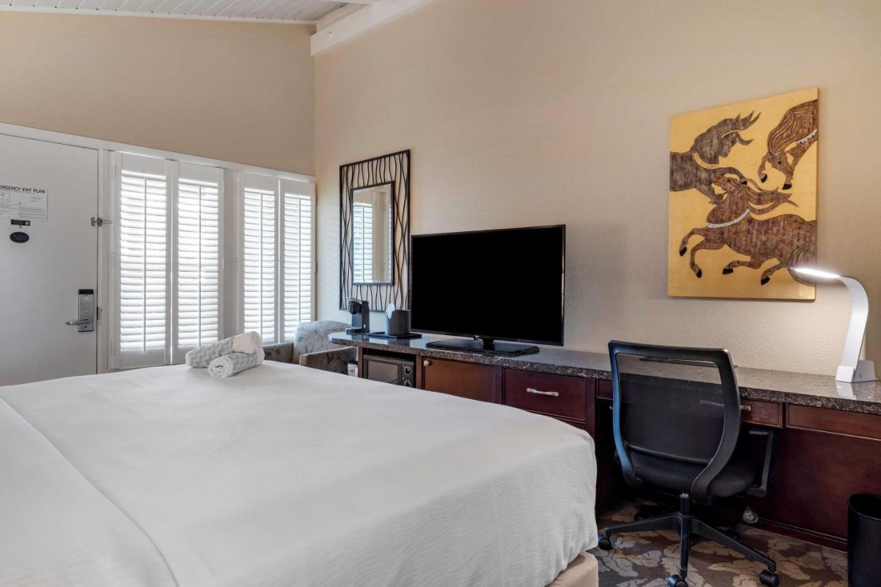 Habitación Estándar - Cama extragrande