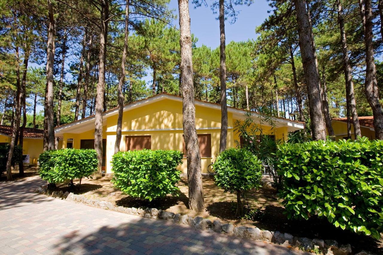 Superior Villa,1588556037:JPEG