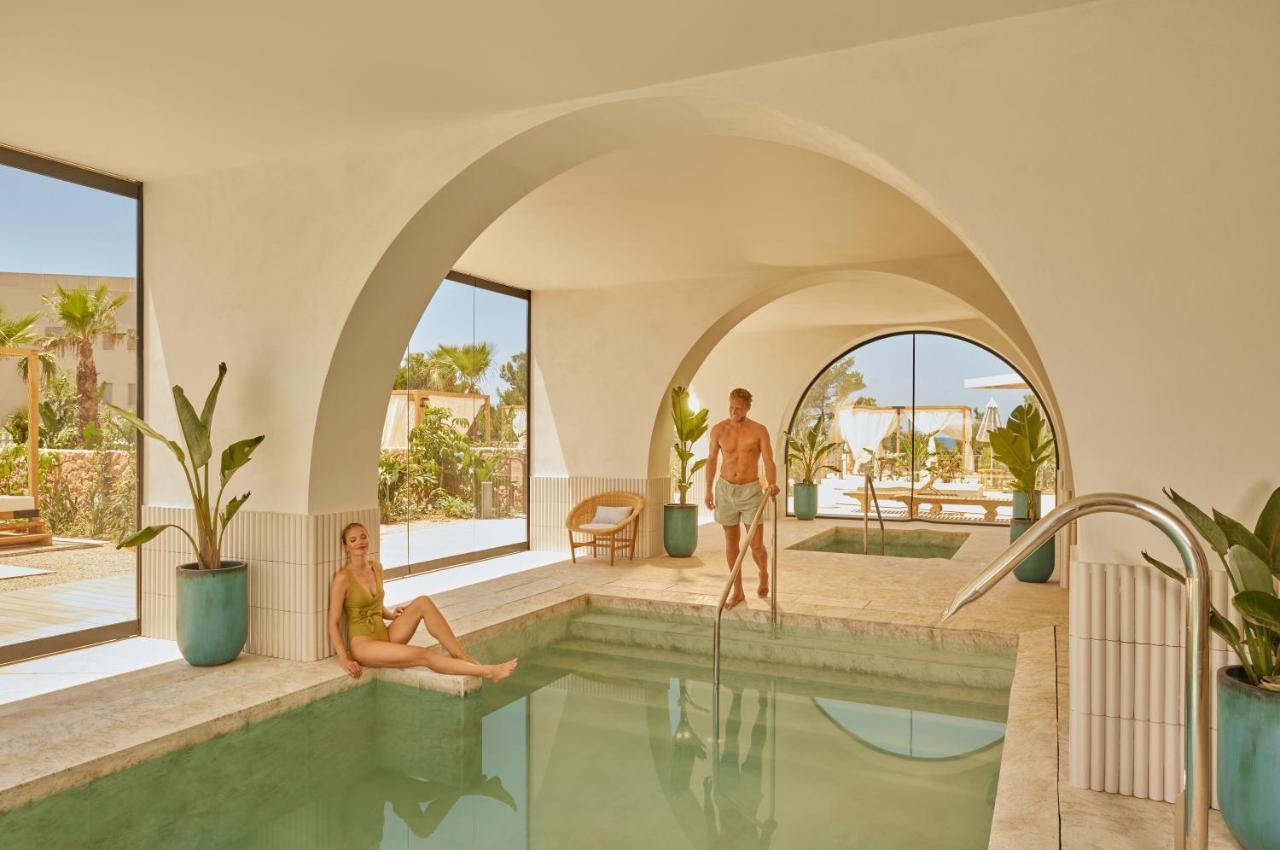 Studio Suite - Signature Level