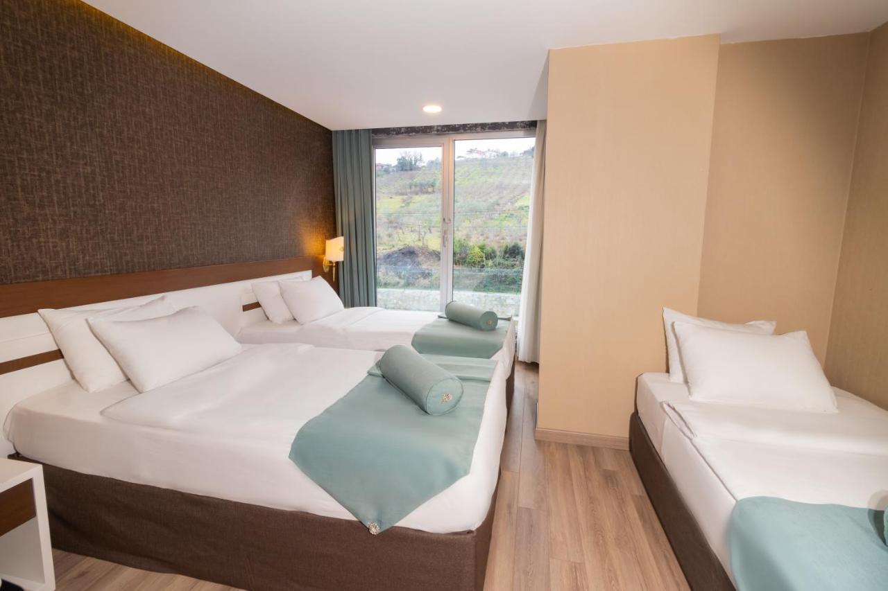 Triple Room with Mountain View