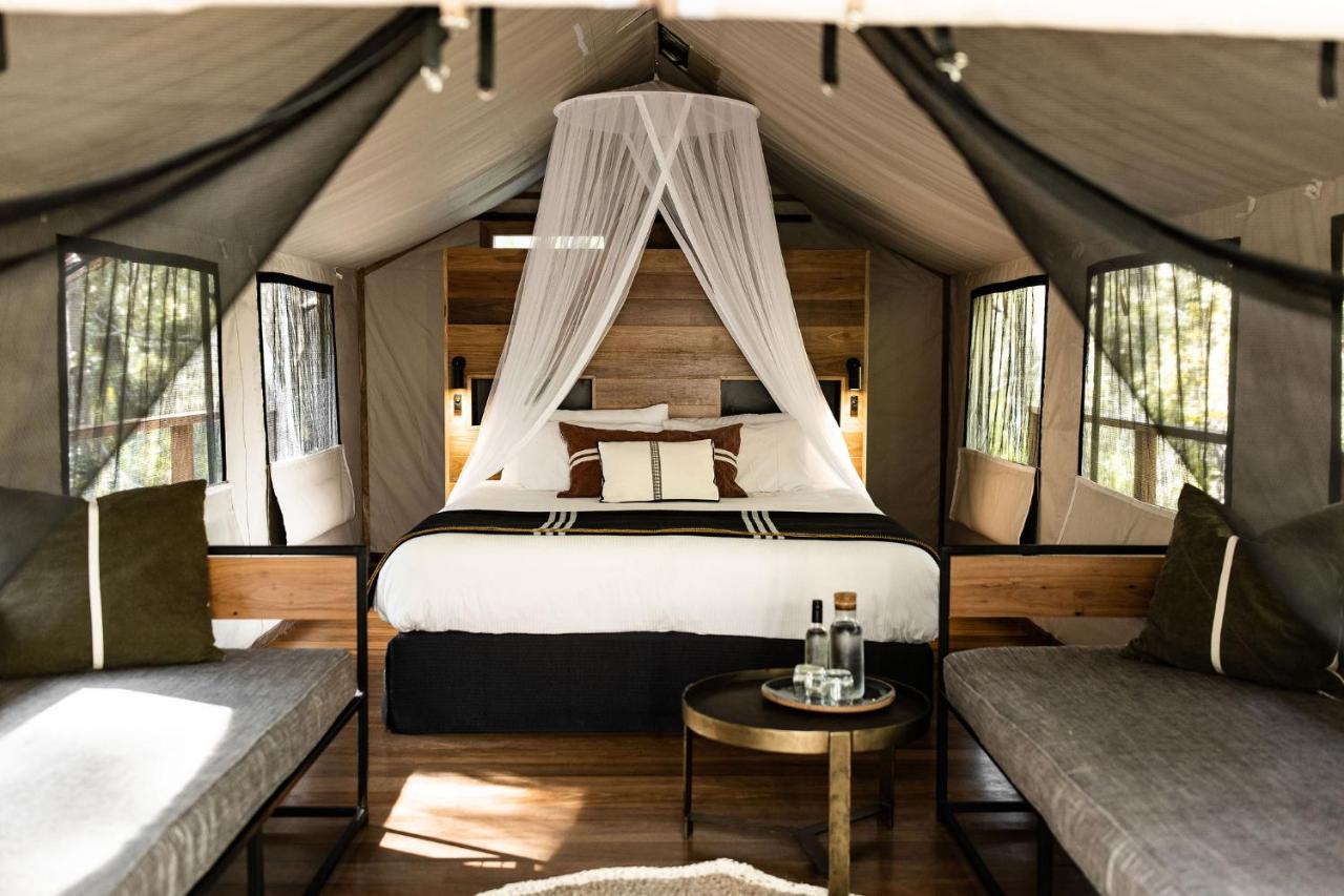 Deluxe Vierbettzimmer