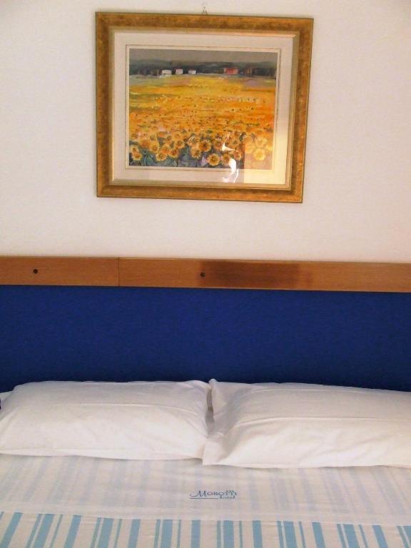 Double or Twin Room,13884710:JPEG