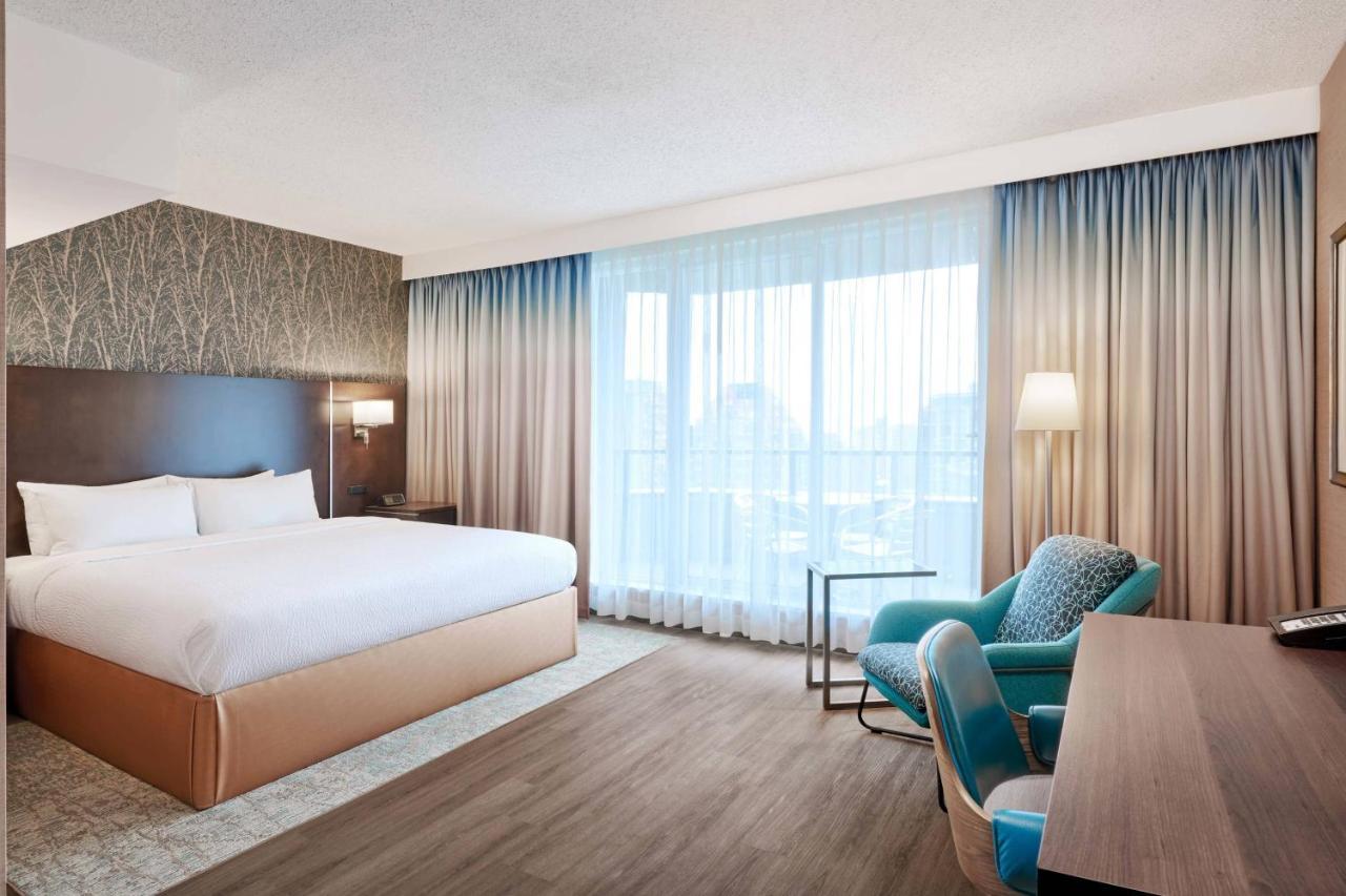 Suite Estudio Skyline con cama extragrande
