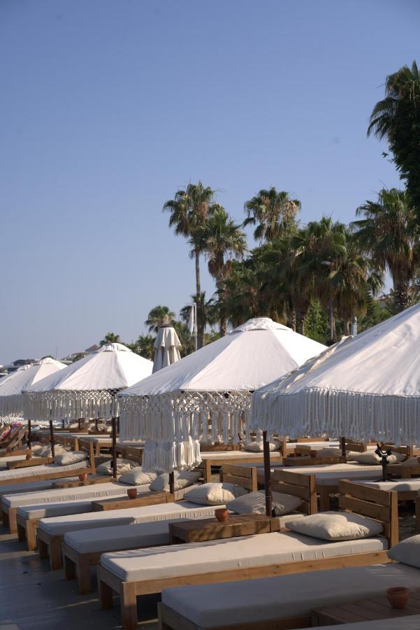 Double Room Patio
