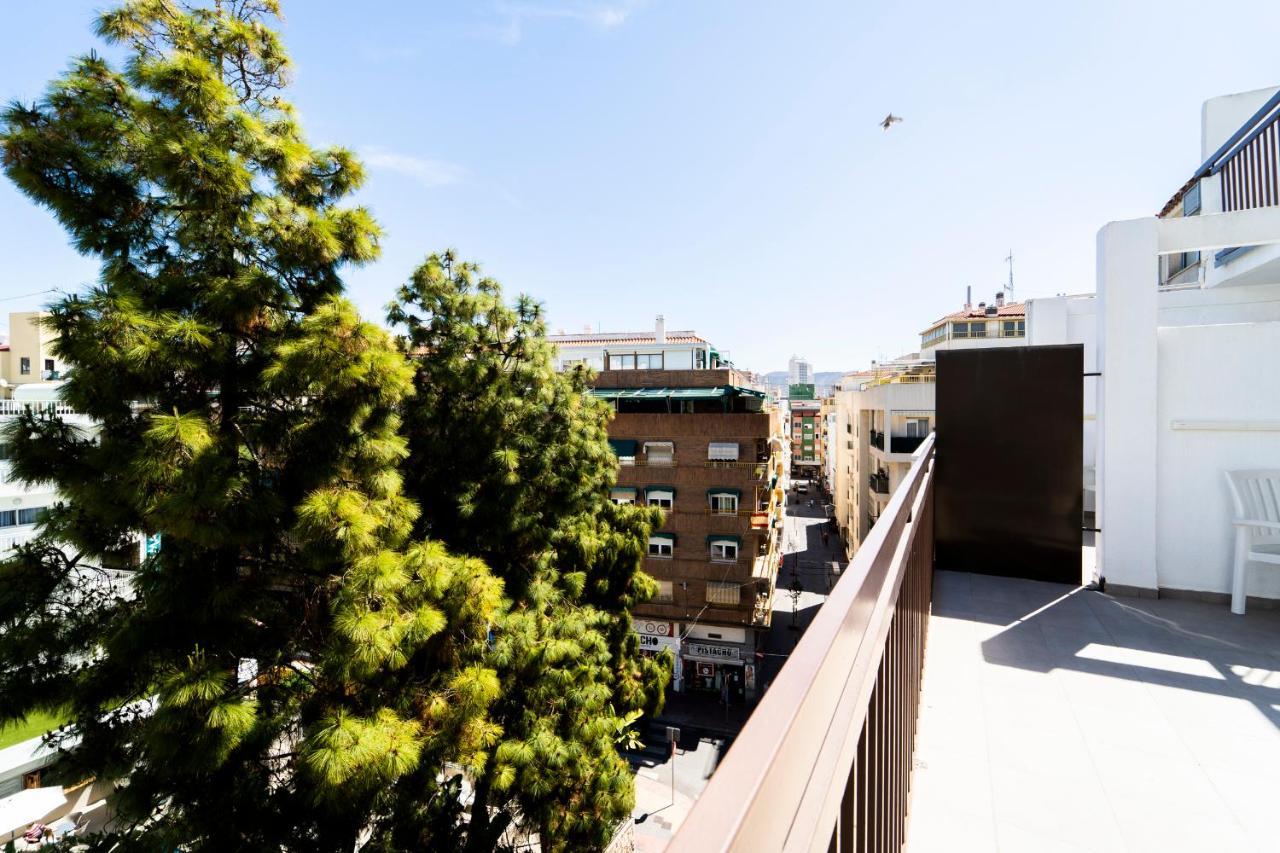 Habitación Individual con terraza