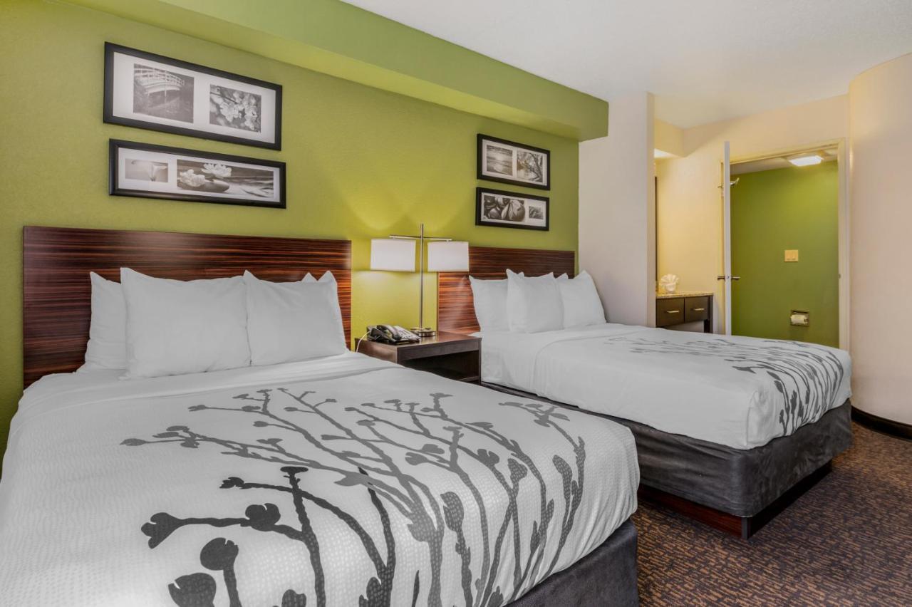 Double Room with Two Double Beds - Accessible/Non-Smoking