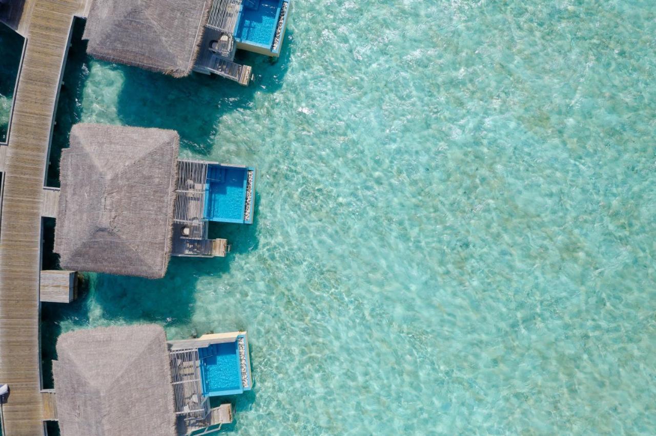 Lagoon Suite Private Pool
