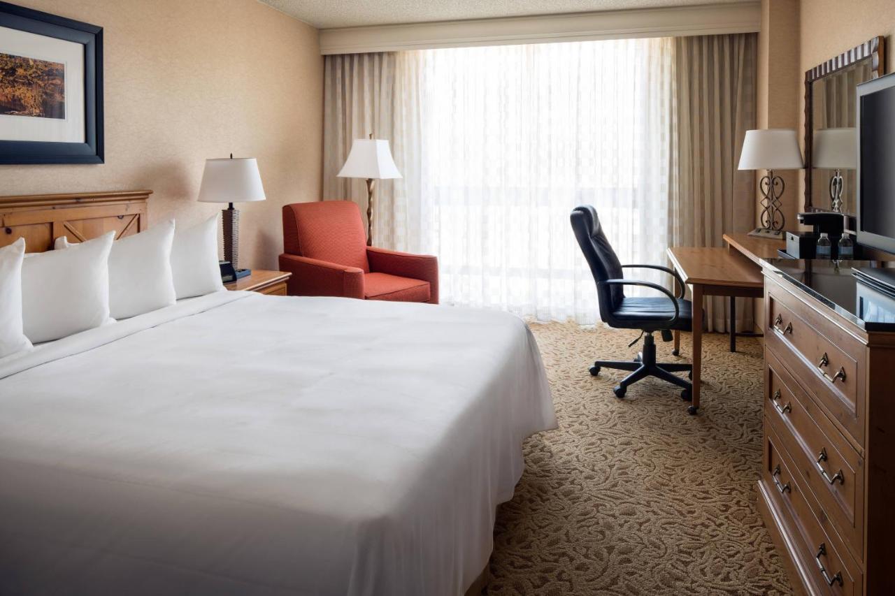 King Room,1706216338:JPEG