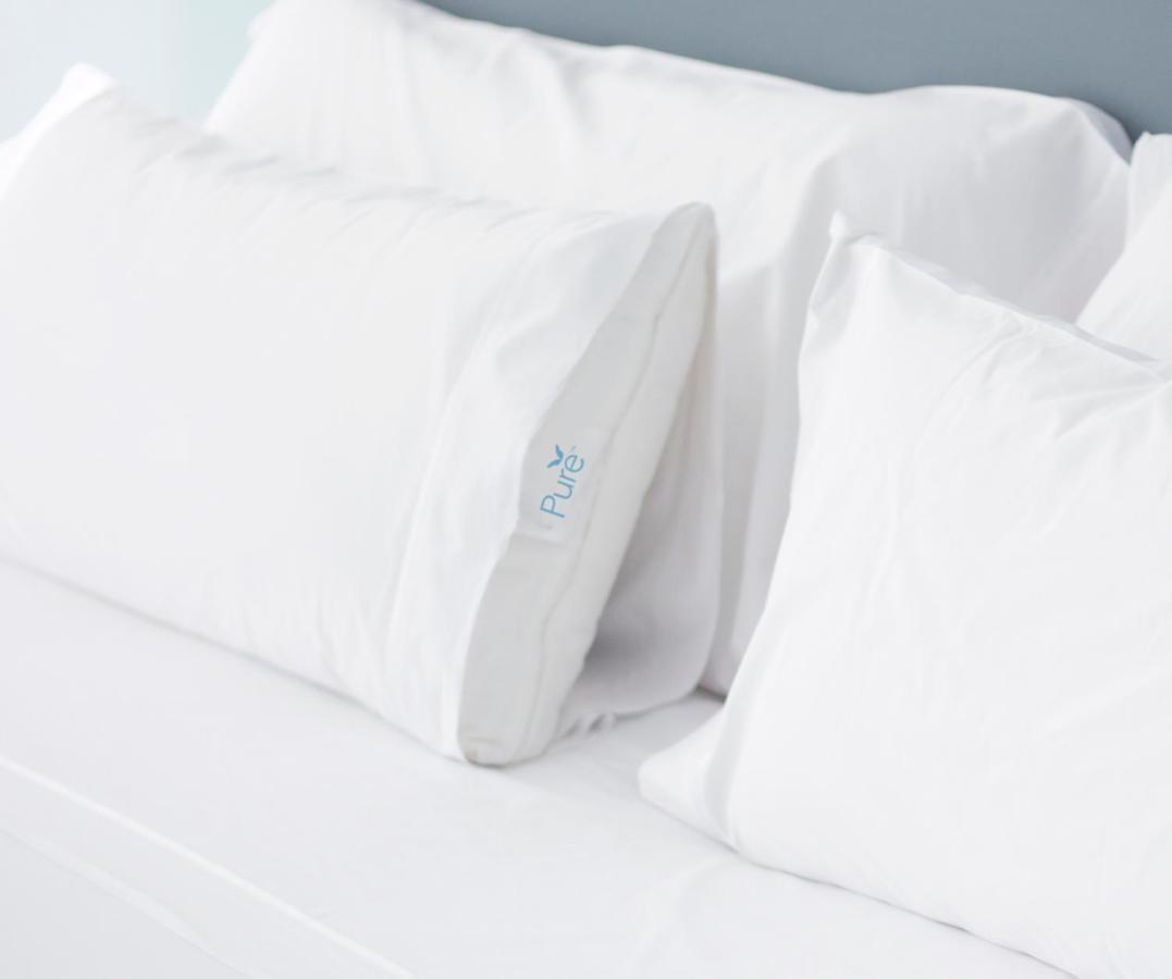 Double Suite - Wellness Allergy Friendly