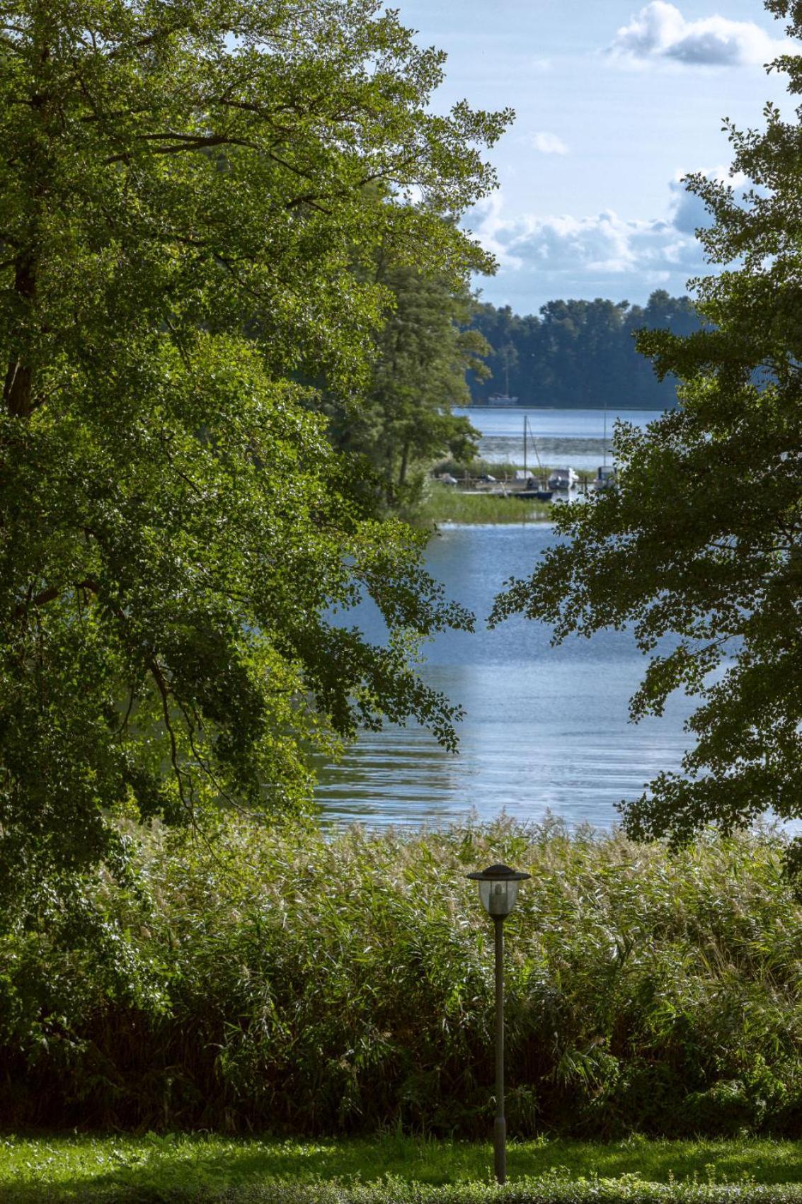 Suite Lake View