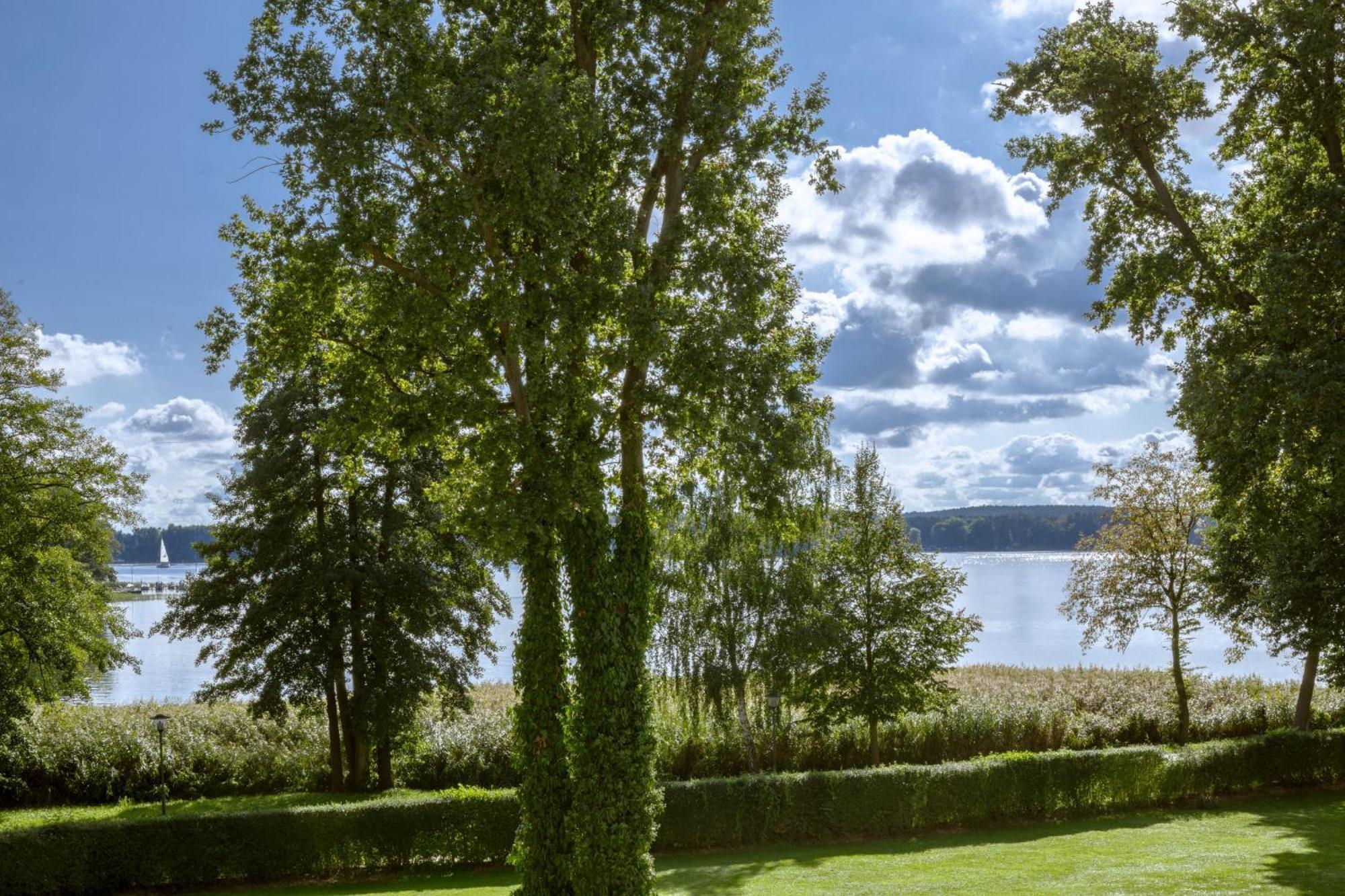 Suite Lake View