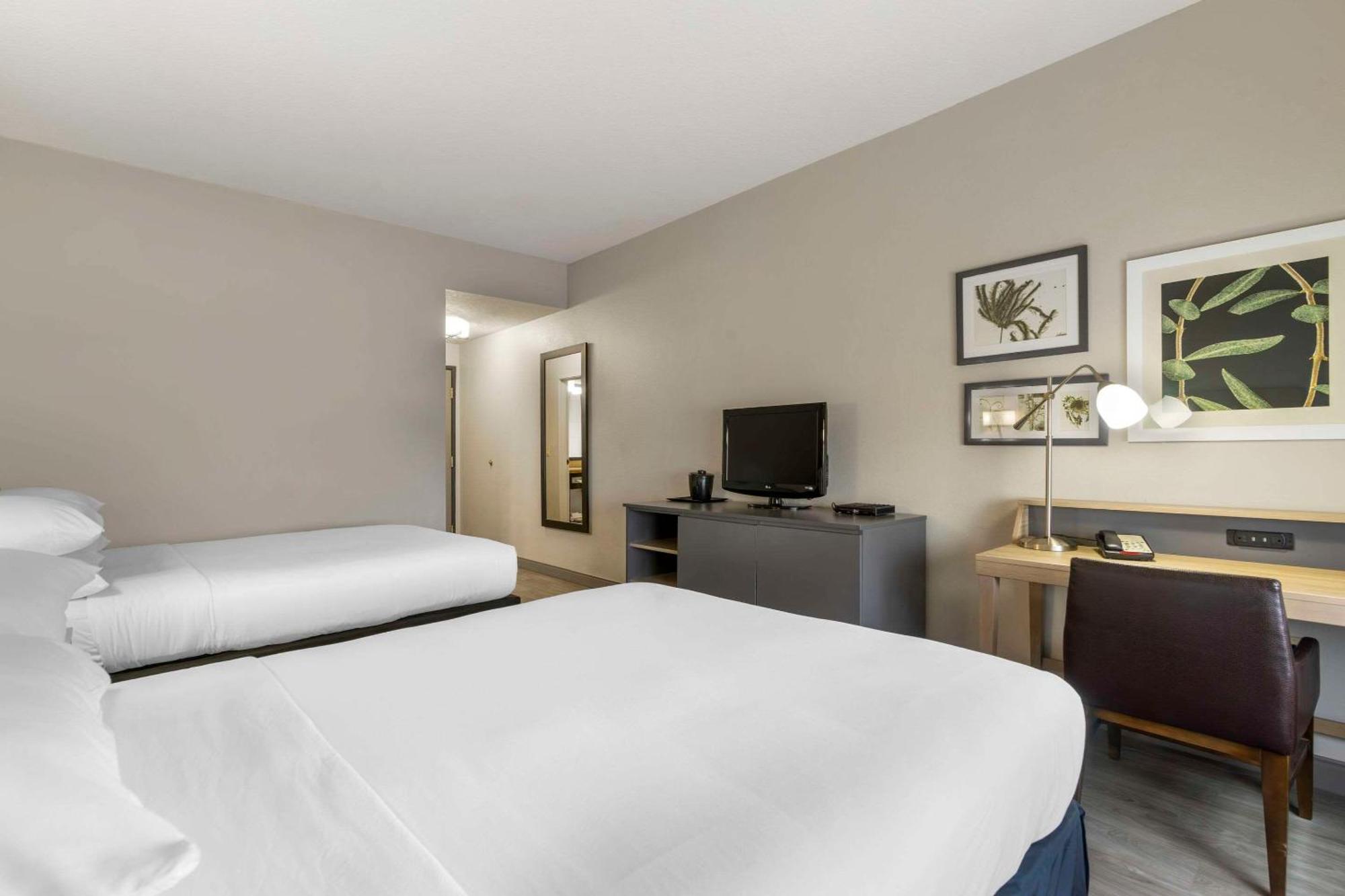 One-Bedroom Suite Two Queen Beds Sofa Bed