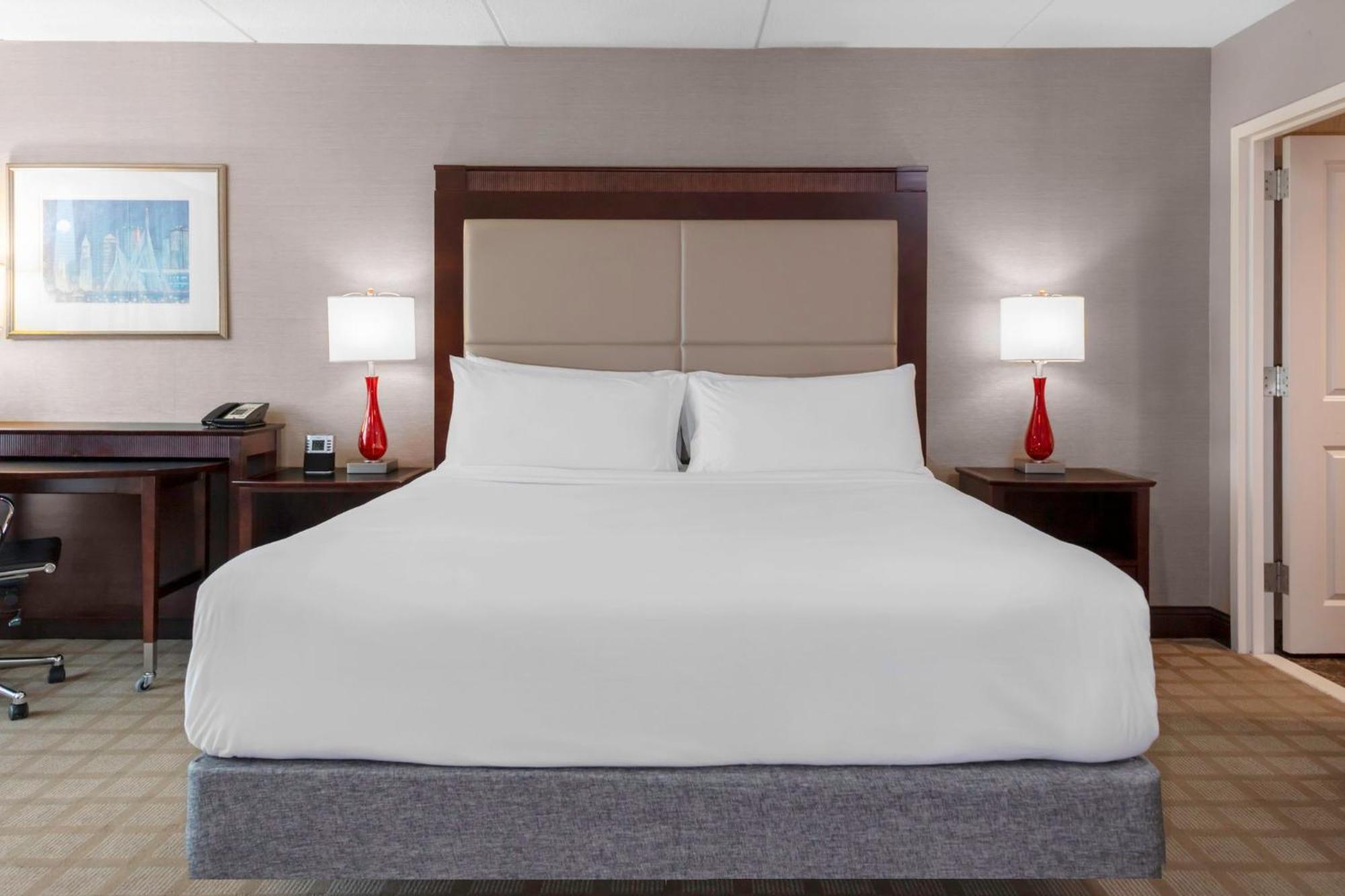 Standard King Room Sofa Bed