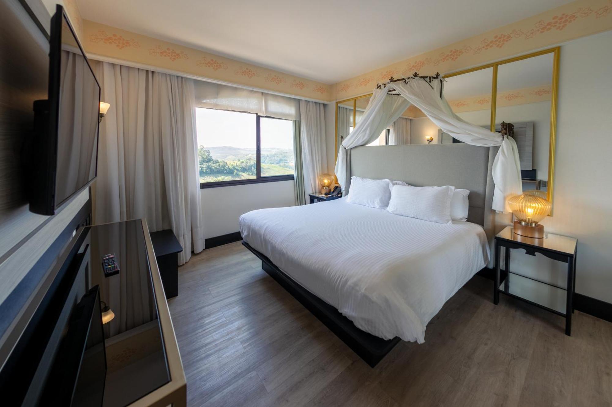 Suite Regia 1 King Fireplace Vineyard View