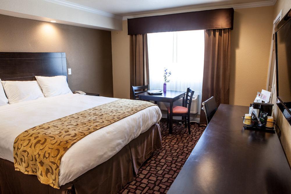 Standard King Room