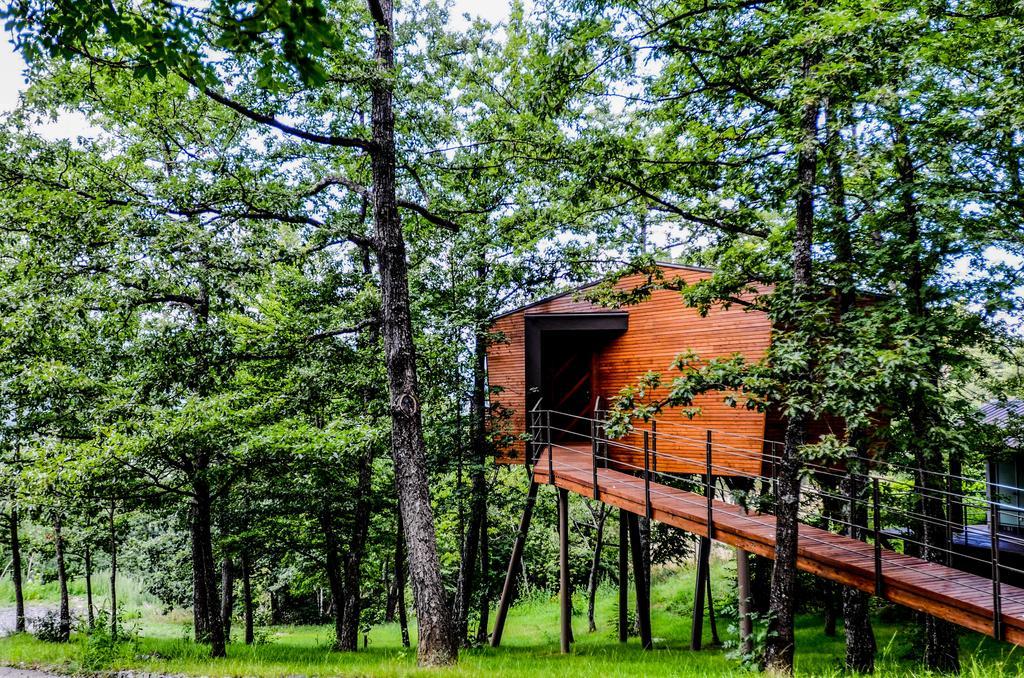 Junior Suite - Casa sull'Albero
