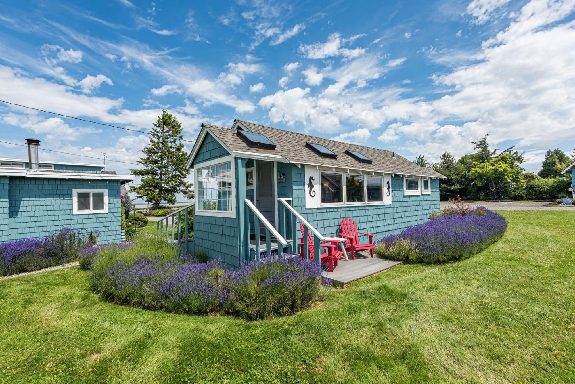 Cottage Garden View