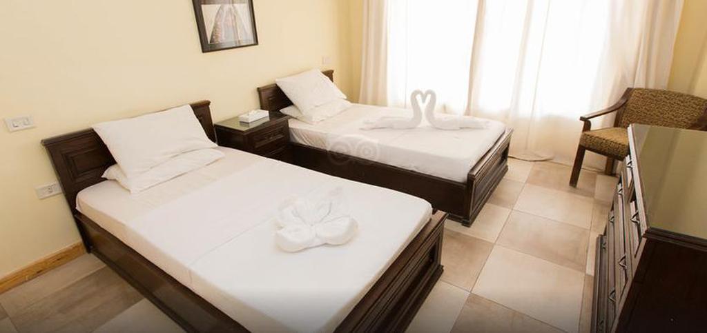 Twin or Double Room,66126775:JPEG
